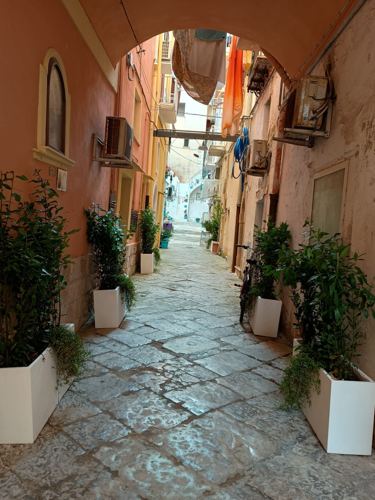 La tiella, specialità gastronomica di Gaeta