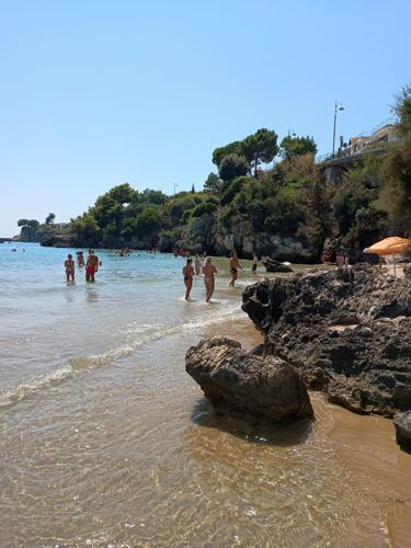 Gabbiani nel porto di Gaeta