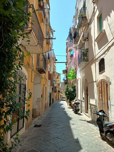 Scorcio delle mura medievali