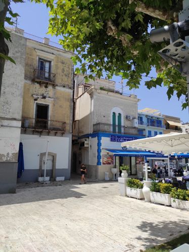 Scorcio del lungomare con le palme
