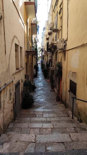 Finestra con fiori nel centro storico